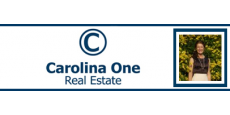 agent logo