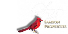 agent logo