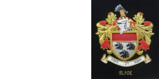 agent logo