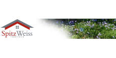 agent logo