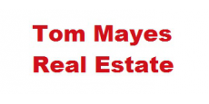 agent logo